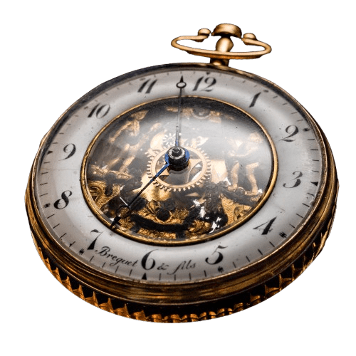 008-removebg-preview